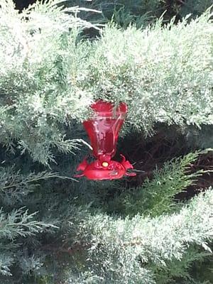 Our residents love nature. They requested a hummingbird feeder so i bought one. Hope we see some hummingbirds.