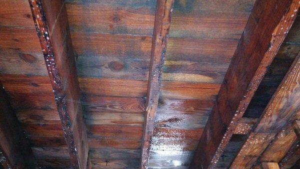 Mold Cleanup - After