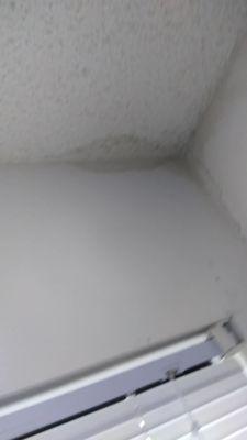 Moisture/mold in bedroom