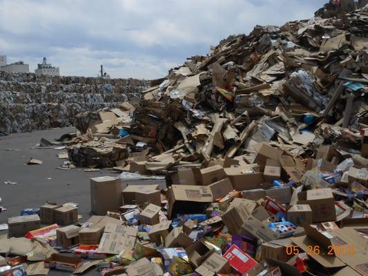 Don't want your move to create a mountain of trash?  Call Denver's Moving Boxes for a fast, affordable and green alternative.