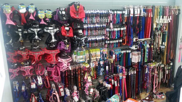 Collection of Harnesses, Collars and Leashes both Nylon & Leather