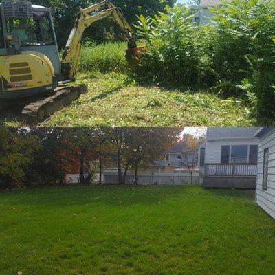 Brush Clearing and lawn installation