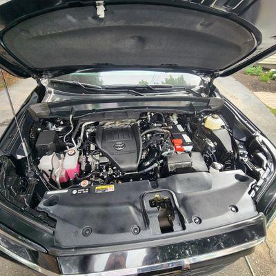 Engine Cleaning