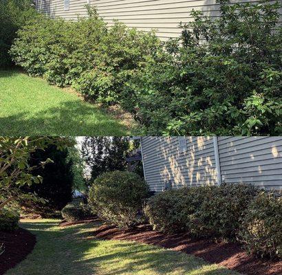 Hedging/mulch