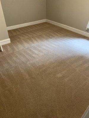 carpet and rug cleaning services in Clarendon Hills, IL