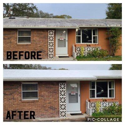 roof cleaning