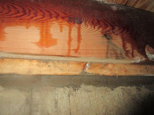 Condensation on the crawl space floor joist.