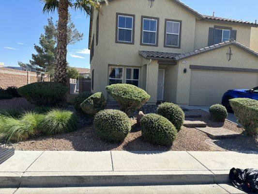 Front/side yard maintenance $50 Monthly. Trimming, weeds, and leaf blower.