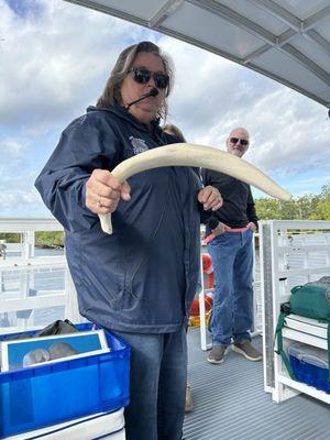 Manatee & Eco River Tours