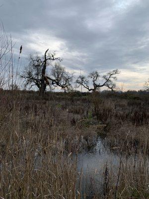 Laguna De Santa Rosa Foundation