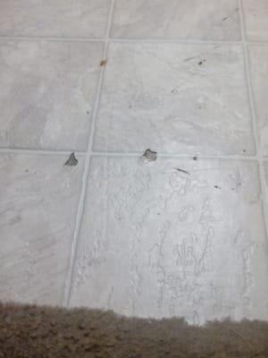 Tile floor from scratched to peeling off.