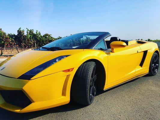 Stopping at a vineyard to stretch, use the restrooms and switch cars.