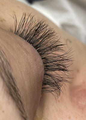 Volume Lashes