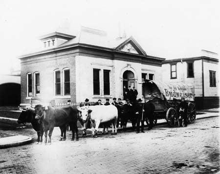 Courtesy of the Indiana Historical Society, Bass Photo Company Collection 26612