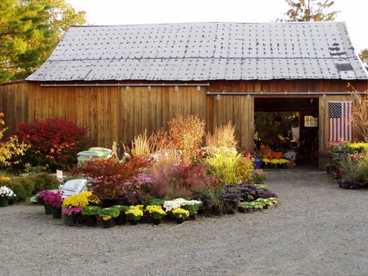 Stony Hill Perennial Farm