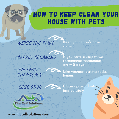 How to keep clean your house with pets