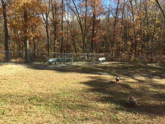 There are two gates. One leads you towards the parking lot and the other leads to a walking trail. There is a nearby body of water.