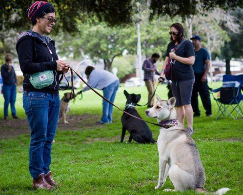 Los Angeles Responsible Pit Bull Owners - Long Beach