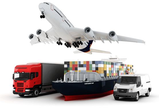 Cargo Pulse Logistics