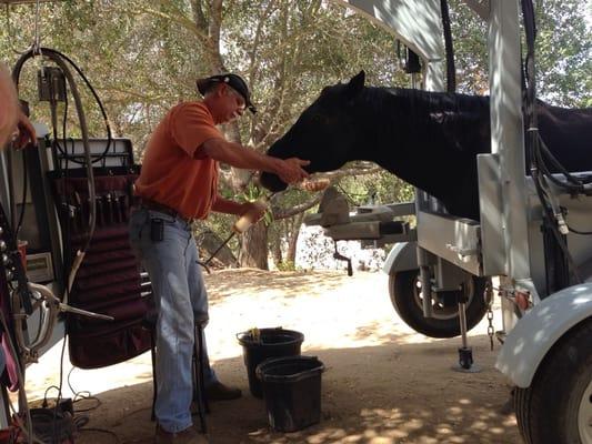 Mike getting ready for some horse dental work.