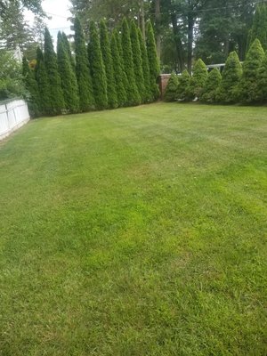 After taking of a Lawn that I take pride in the work I do and will make sure the customer is always happy.