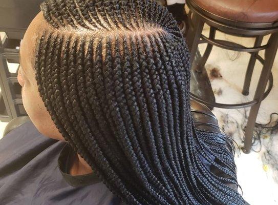 Safari African Hair Braids