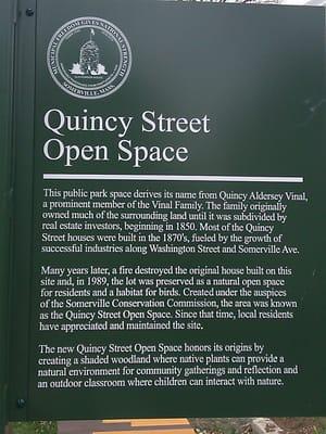 The Quincy Street Open Space story.