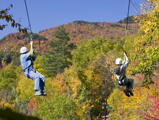 Zipline