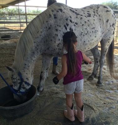 Brushing