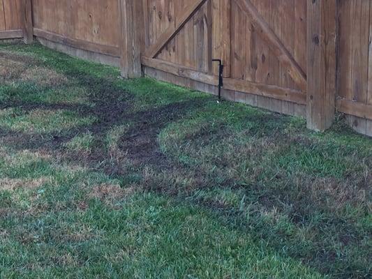 Back lawn was destroyed due to lack of care when they mowed with standing water on supersaturated lawn.