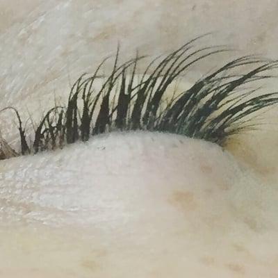 NovaLash Eyelash Extensions