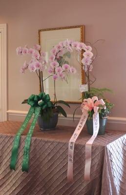 Chinese calligraphy by Fong. Orchids are from the owner's private collection!