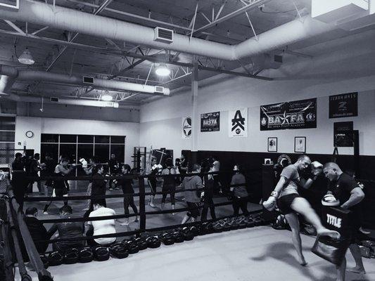 Bay Area Fight Academy