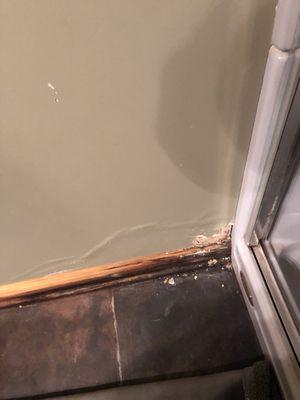 Shower mold