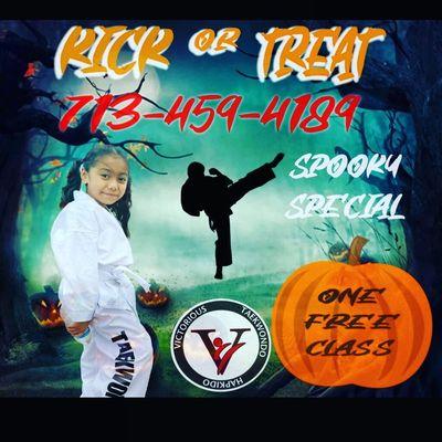 Victorious Tae Kwon Do Boxing