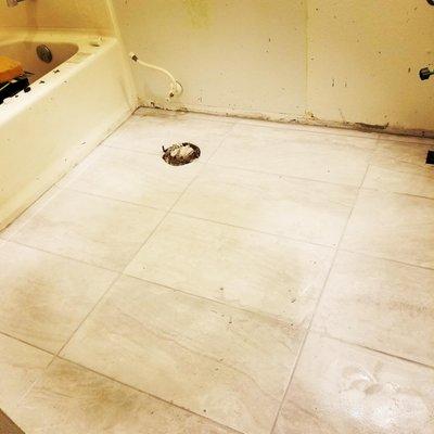 Bathroom tear out and install tile