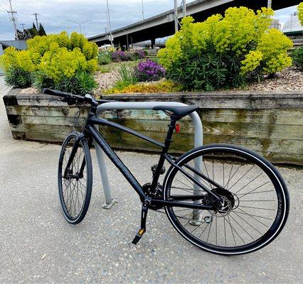 Bainbridge Island Cycle Shop