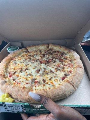 Papa Johns Pizza