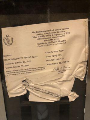 Elevator certificate disgusting