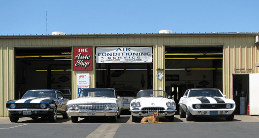 The Auto Shop