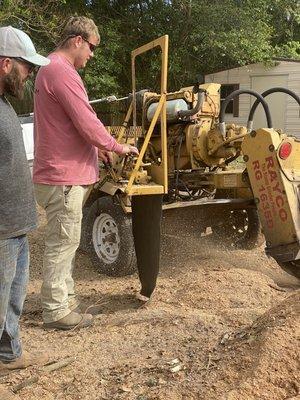 Stump grinding