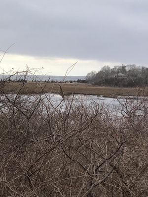 Ellisville Harbor State Park