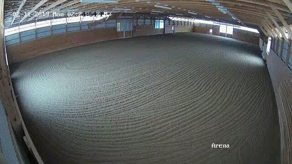 Indoor Arena 80 x 180. Eurofelt/sand footing, lights and fans