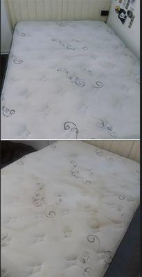 Mattress Stain Removal Cleaning