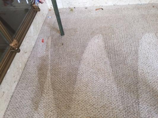 Dirty stained carpet