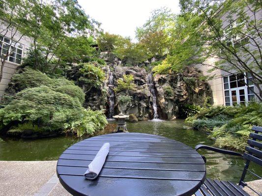 Japanese Garden view breakfast