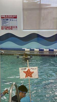 SafeSplash Swim School - Elk Grove