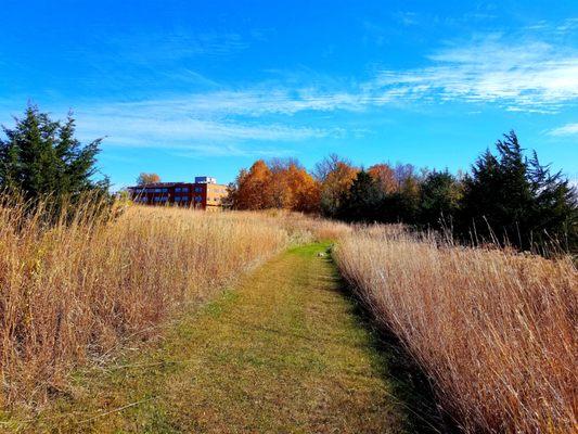 176 acres of groomed trails lead back to Vinland