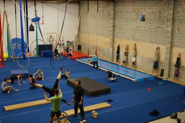 Group handstand training with Jean-Luc Martin