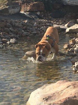 Beautiful space with rocky river to cool off